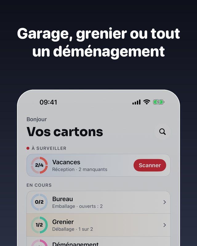 Cartons 1